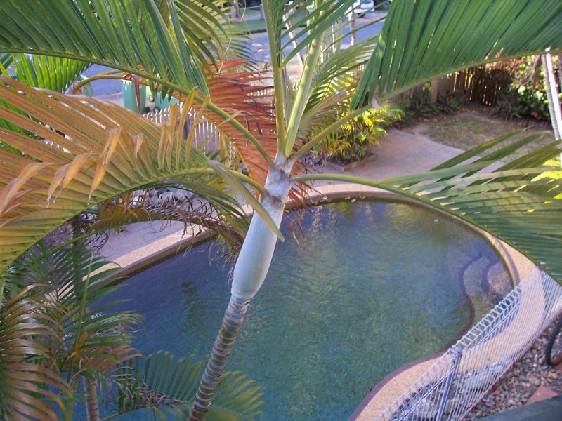 2/11 Vallely Street, Freshwater QLD 4870