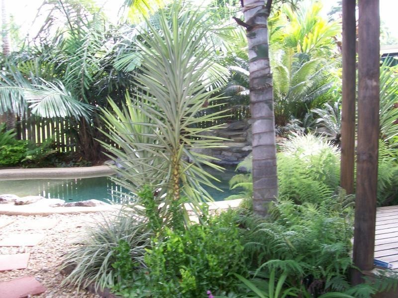 200 Woodward Street, Whitfield QLD 4870