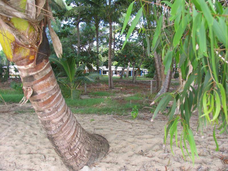 42 Kewarra Street, Kewarra Beach QLD 4879