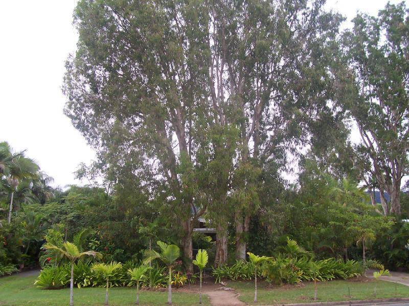 9 Kewarra Street, Kewarra Beach QLD 4879