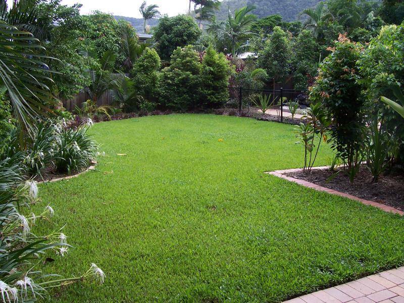 41 Terebra Street, Palm Cove QLD 4879