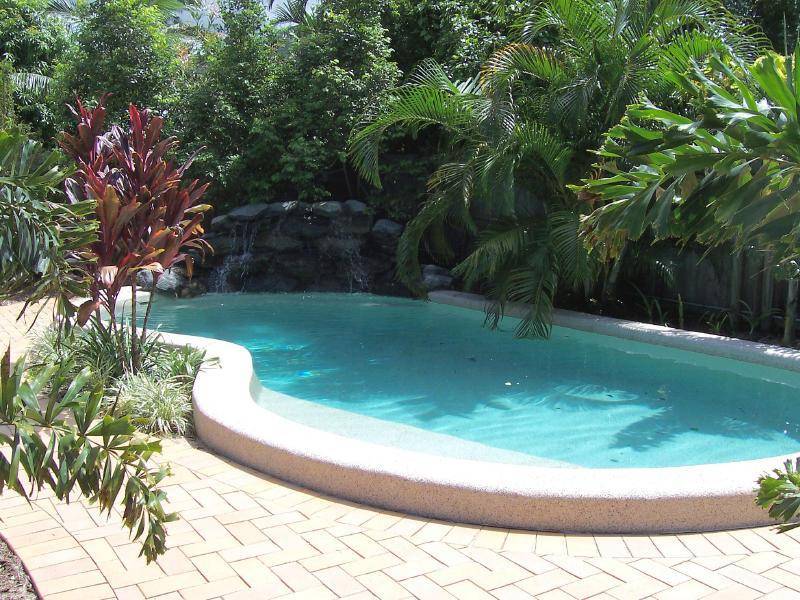 41 Terebra Street, Palm Cove QLD 4879