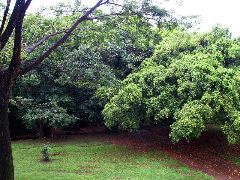 43/294 Kamerunga Road, Freshwater QLD 4870