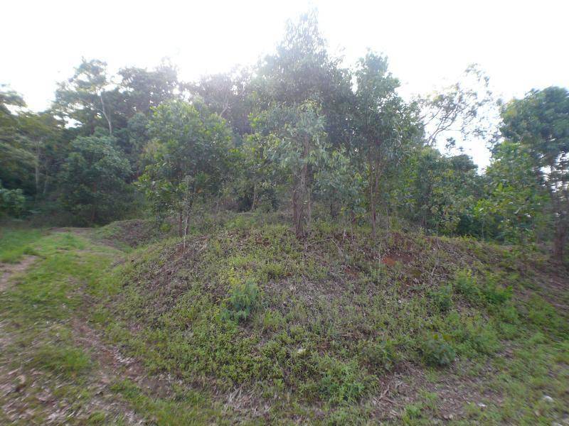 Lot 12 Carmelo Close, Whitfield QLD 4870