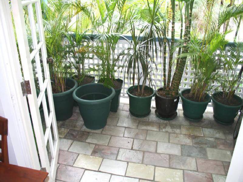 8/3 Springfield Crescent, Manoora QLD 4870