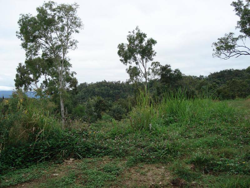 36 Flecker Street, Whitfield QLD 4870