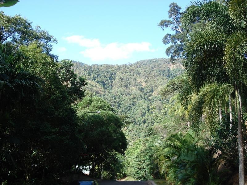 Lot 11 Cyathea Close, Kamerunga QLD 4870