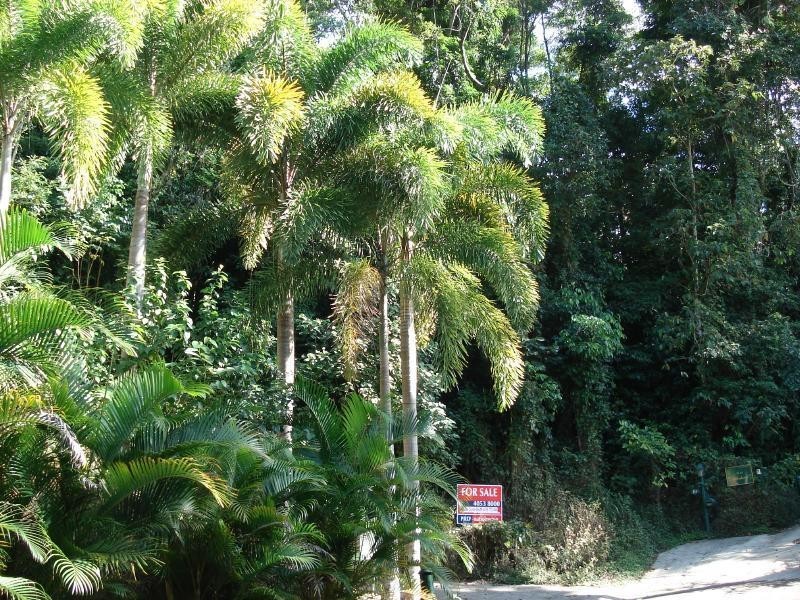 Lot 11 Cyathea Close, Kamerunga QLD 4870