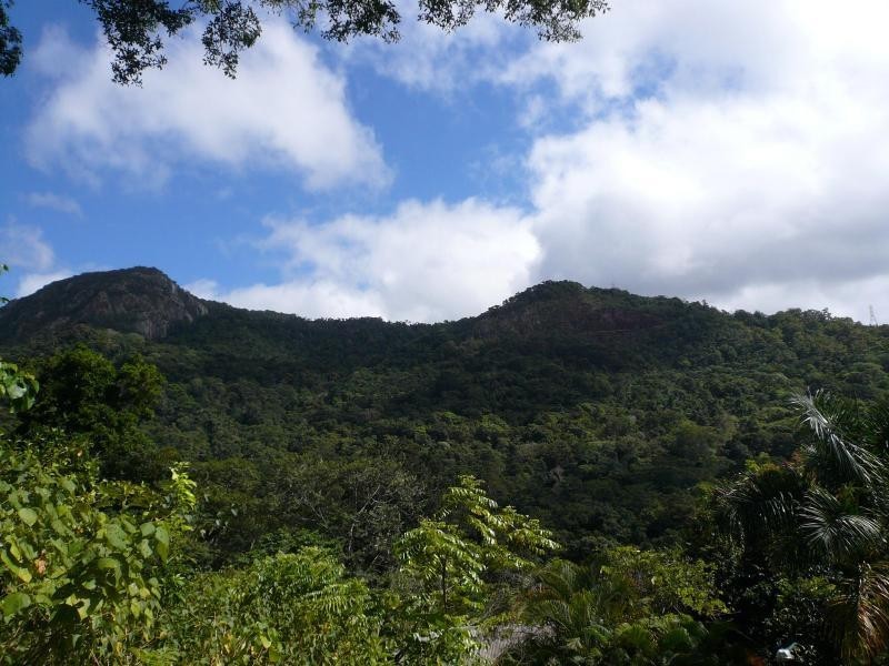 Lot 5 Cananga Close, Kamerunga QLD 4870