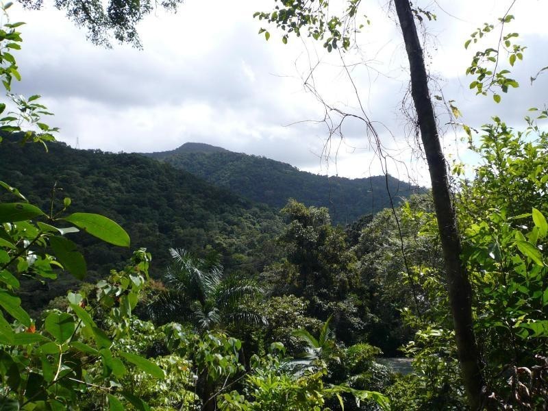 Lot 5 Cananga Close, Kamerunga QLD 4870