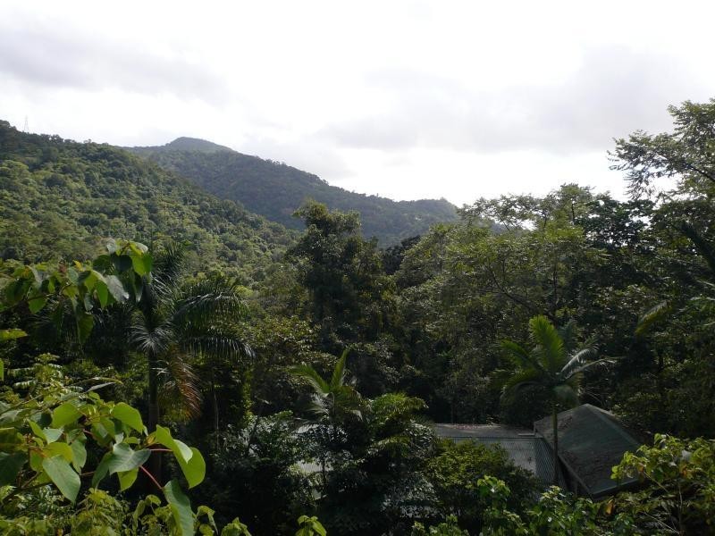 Lot 5 Cananga Close, Kamerunga QLD 4870