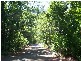 Lot 14 Jagera Close, Kamerunga QLD 4870