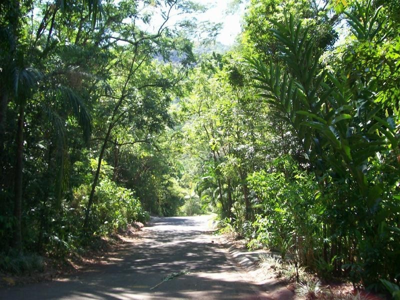 Lot 14 Jagera Close, Kamerunga QLD 4870