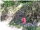 Lot 14 Jagera Close, Kamerunga QLD 4870