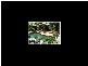 175 Lake Street, Cairns City QLD 4870