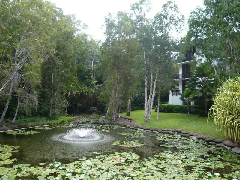 20/6 Cedar Road, Palm Cove QLD 4879