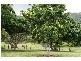 126-128 James Cook Drive, Kewarra Beach QLD 4879