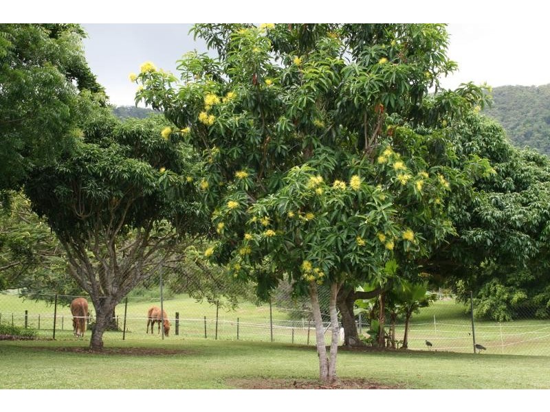 126-128 James Cook Drive, Kewarra Beach QLD 4879