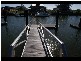 16 Apollo Quay (Lot 85), Trinity Park QLD 4879