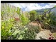 81 Michaelangelo Drive, Redlynch QLD 4870