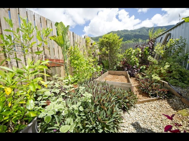 81 Michaelangelo Drive, Redlynch QLD 4870