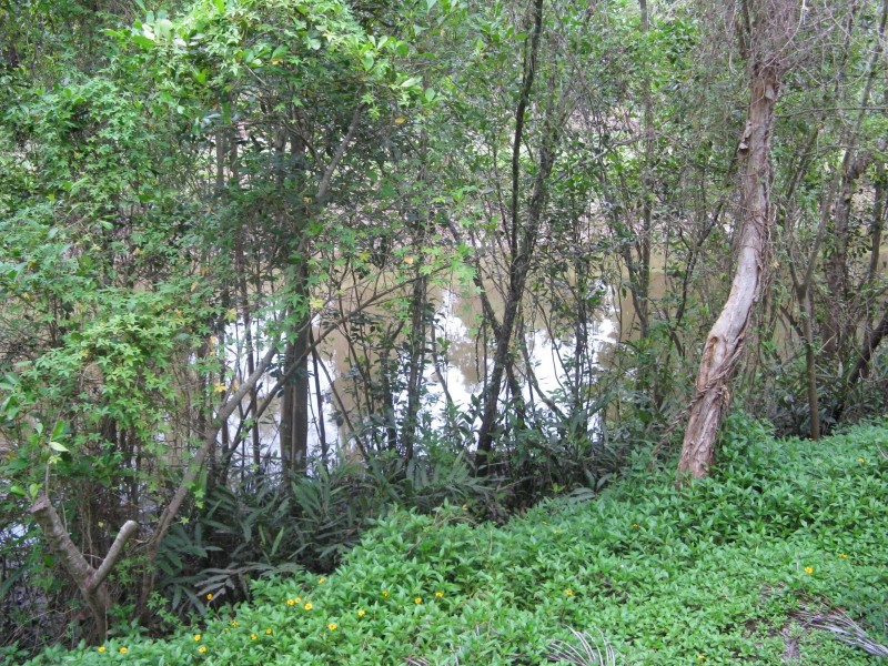 12/36 Springfield Crescent, Manoora QLD 4870