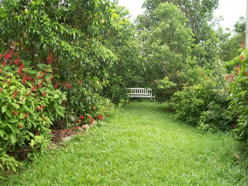 84-86 WALSH STREET, Edge Hill QLD 4870