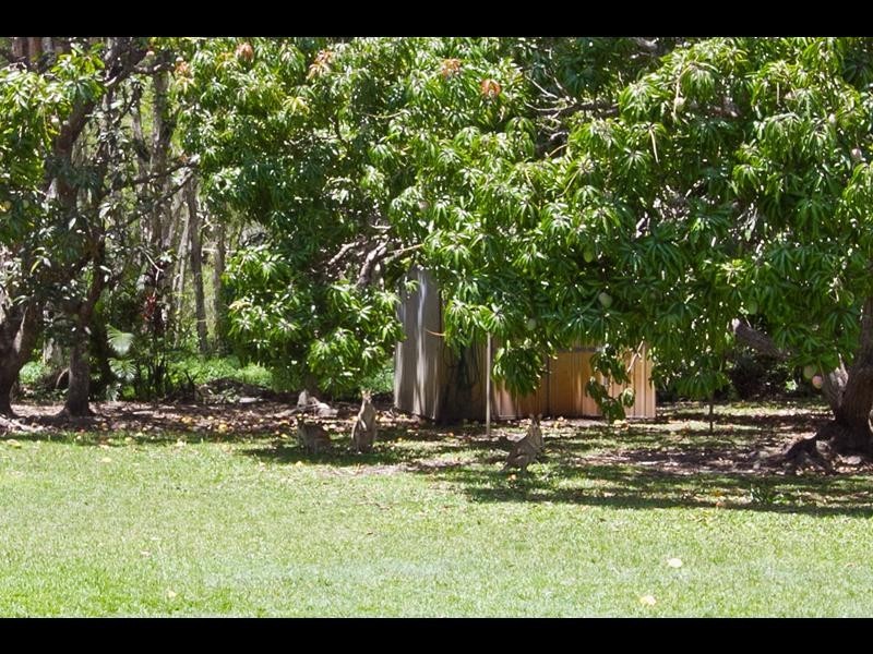 29 Kewarra Street, Kewarra Beach QLD 4879