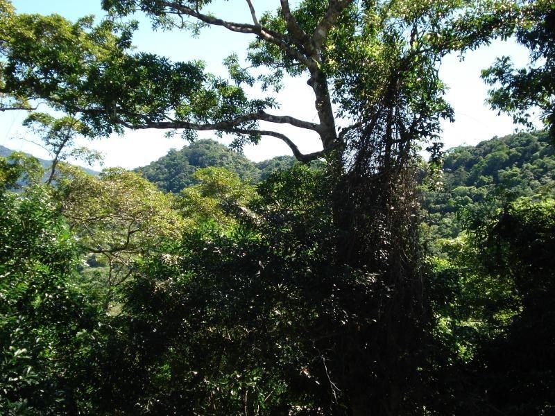 135 Hearl Close, Brinsmead QLD 4870