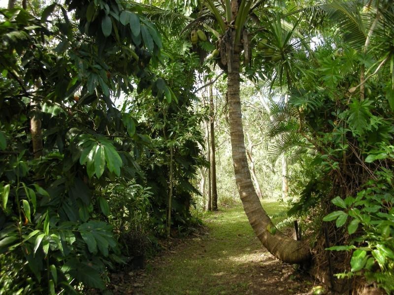 9 Pyramid Close, Gordonvale QLD 4865