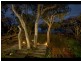 18 Poinsettia St, Holloways Beach QLD 4878