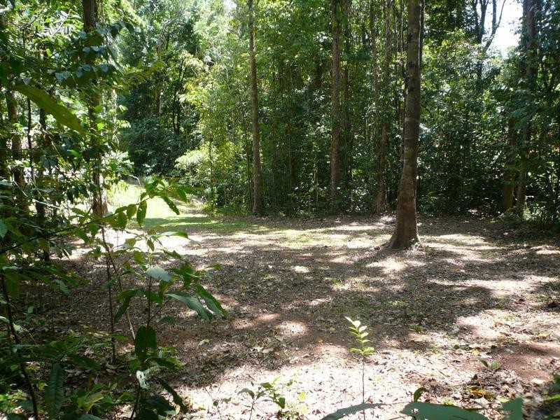 L219 Jak Gee Street, Redlynch QLD 4870