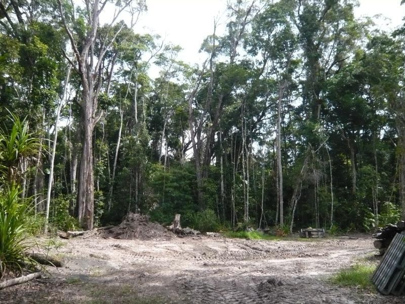 5 Fern Tree Place, Kuranda QLD 4881