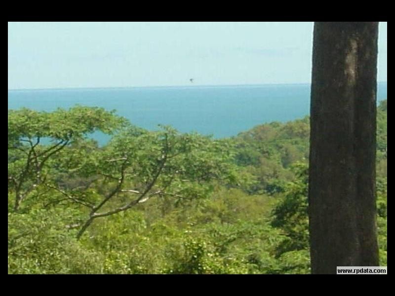 97 Reynolds Road, Oak Beach QLD 4877