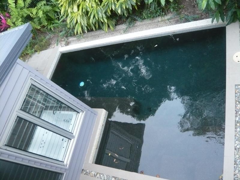 6 Muller Street, Palm Cove QLD 4879