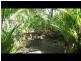 83 Martyn Street, Parramatta Park QLD 4870