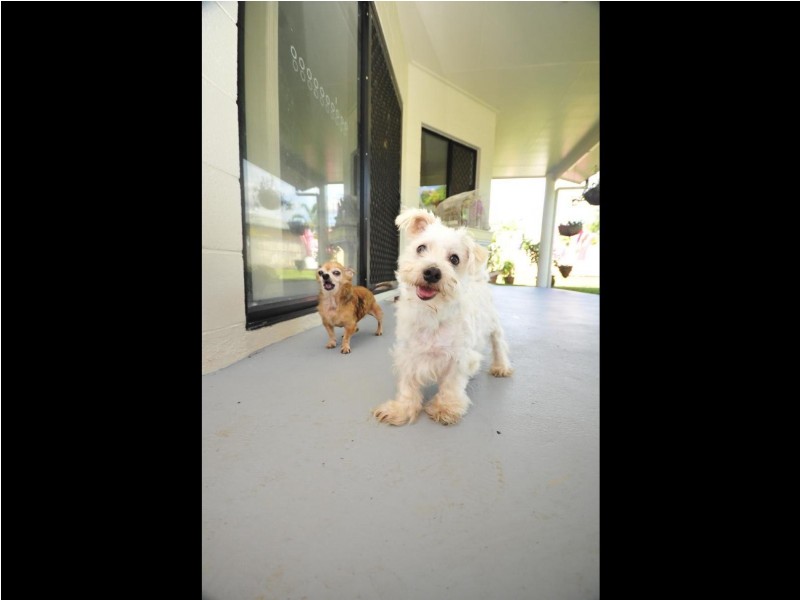 10 Cracknell Road, White Rock QLD 4868