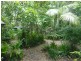 76 Reed Road, Trinity Park QLD 4879