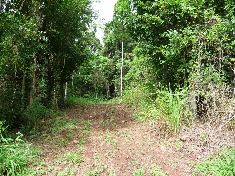 Goldsborough QLD 4865