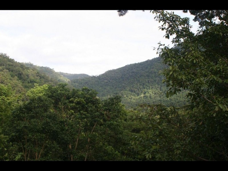 17 Frond Close, Redlynch QLD 4870