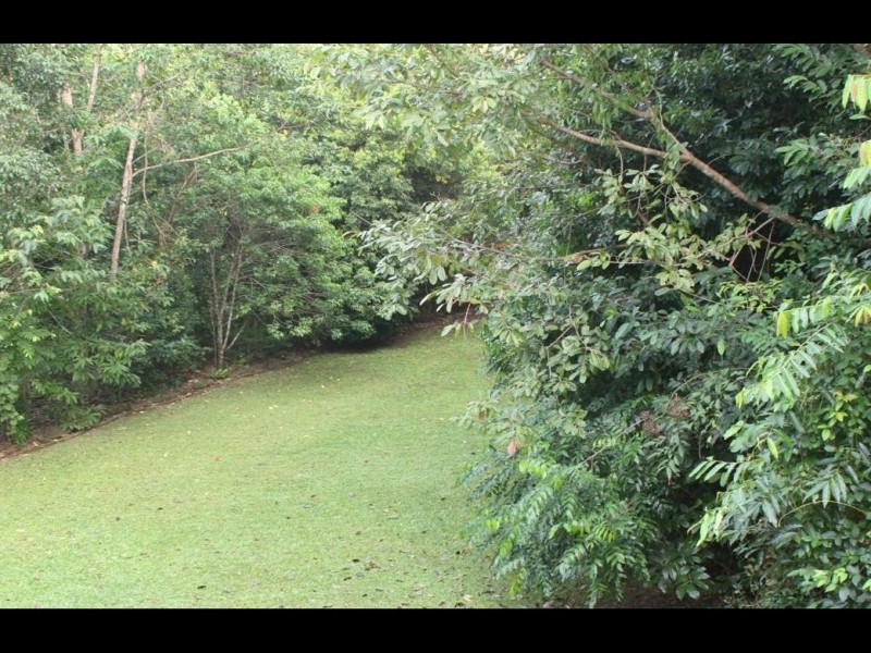 17 Frond Close, Redlynch QLD 4870