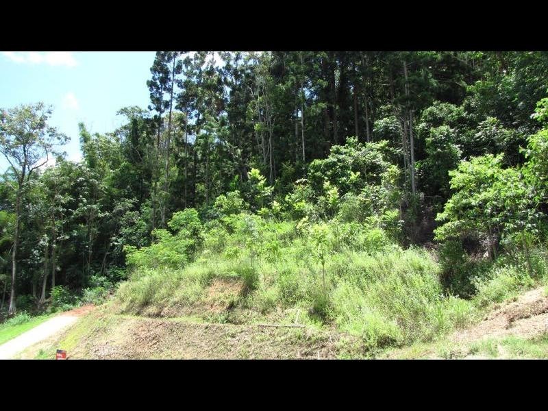 7, 8 & 11 Palmer Rise, Brinsmead QLD 4870