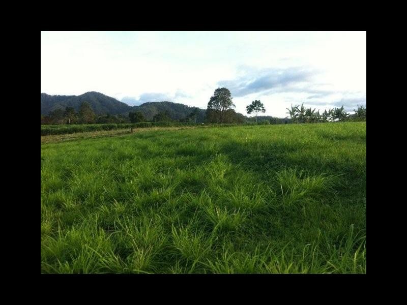 13 Goldrush Close, Goldsborough QLD 4865