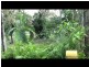42 Lily Street, Cairns North QLD 4870