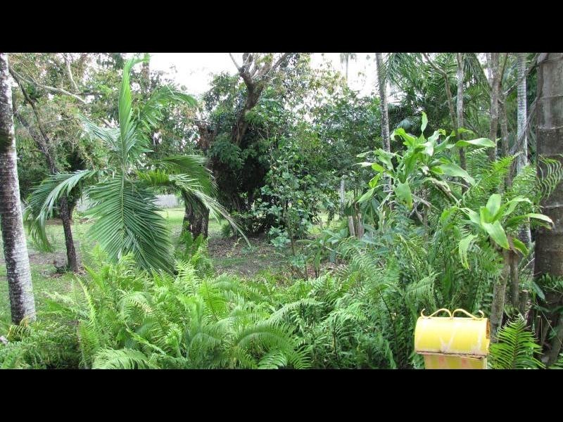 42 Lily Street, Cairns North QLD 4870