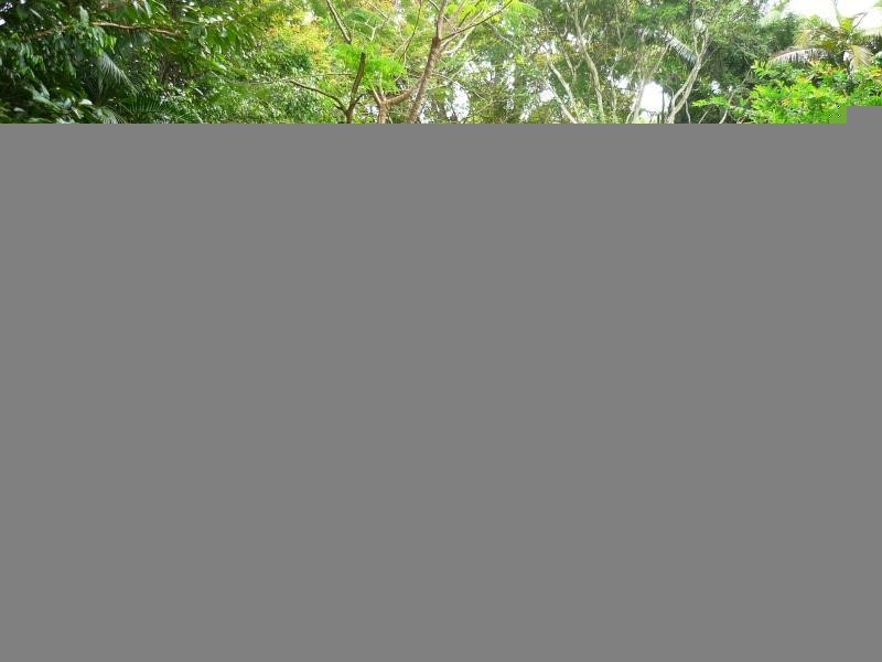 20A Greenhills Road, Kuranda QLD 4881