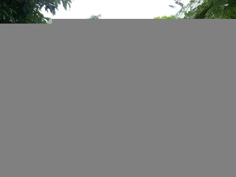 20A Greenhills Road, Kuranda QLD 4881