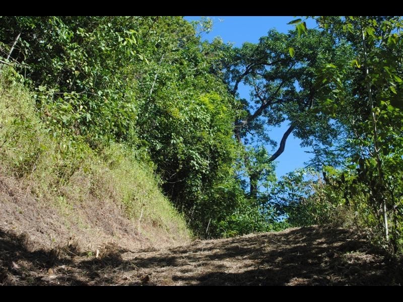 5 & 6 Cananga Close, Kamerunga QLD 4870