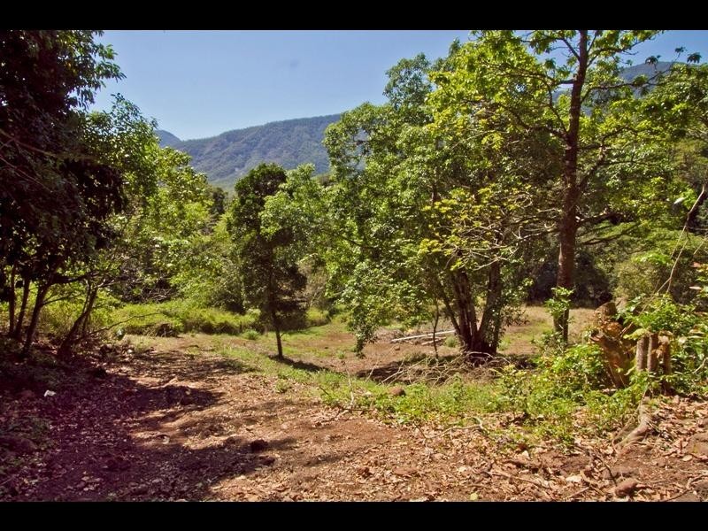 25 Golden Street, Goldsborough QLD 4865