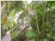 9/178 Martyn Street, Manunda QLD 4870